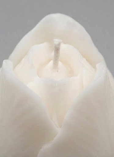 Bocciolo Di Rosa