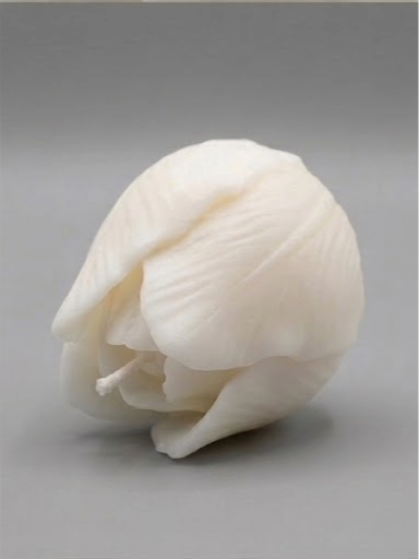 Bocciolo Di Rosa